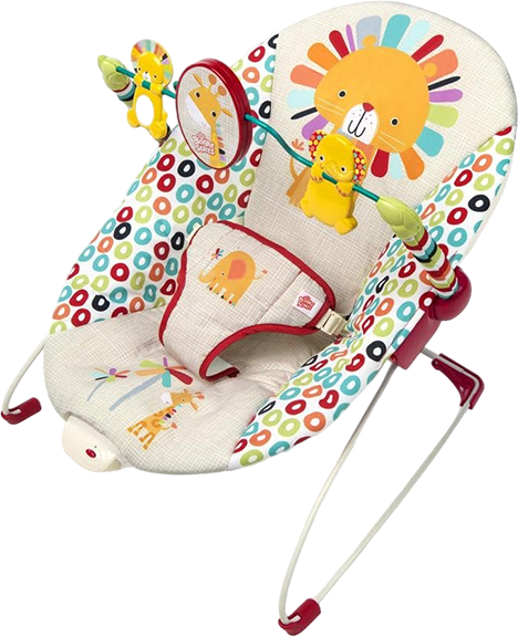 bright starts Baby Bouncer